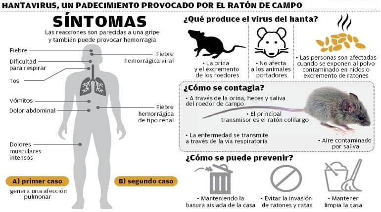 Resultado de imagen para Hantavirus